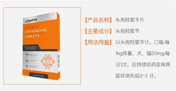 4岁公猫尿道感染尿血已治愈