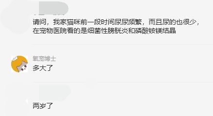 2岁猫咪膀胱炎和磷酸铵镁结晶已治愈