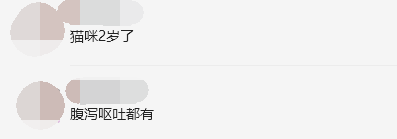 2岁猫咪肠胃炎上吐下泻已治愈