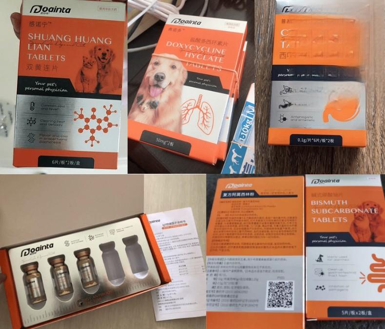 三个月大的狗狗犬瘟热已经痊愈