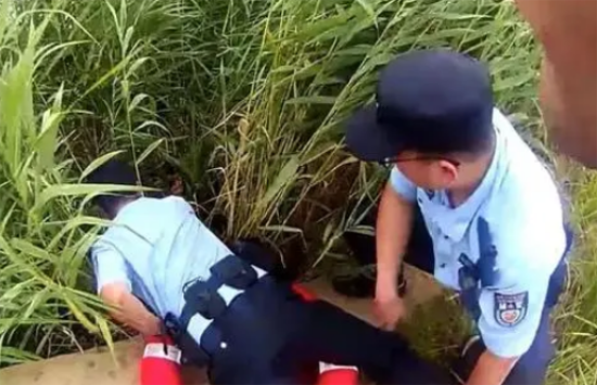 一只“溺水狗狗”的结局，是“HE”还是“BE”？