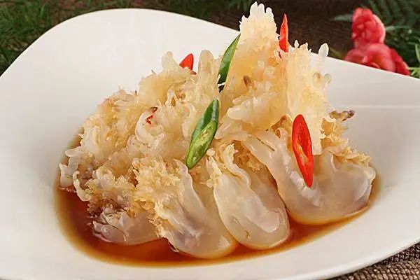 水母与海蛰的关系及蛰伤处理