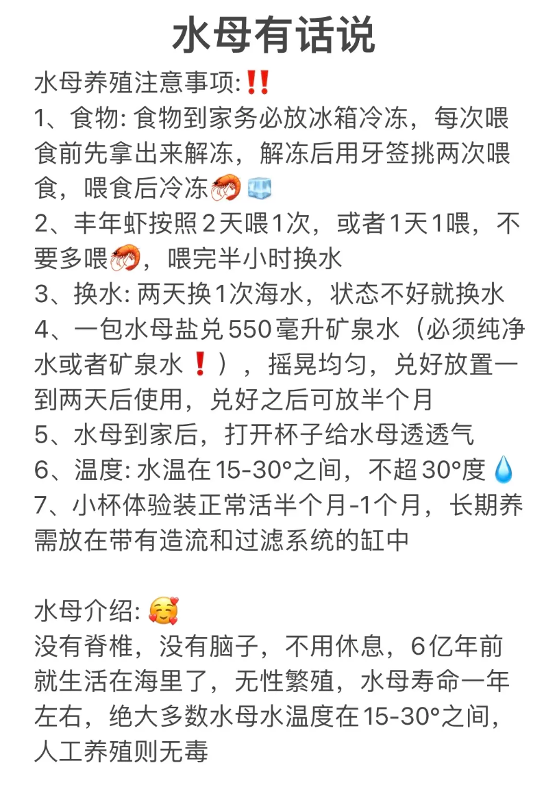 水母摆摊日入500哪些要注意点？保姆级。成本7-8块，卖20-35之间