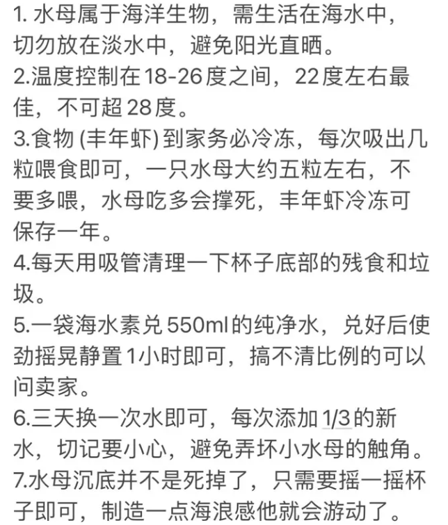 如何创业摆摊卖水母？技巧有哪些？