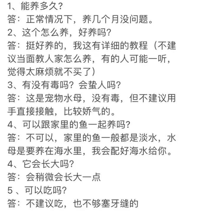 如何创业摆摊卖水母？技巧有哪些？