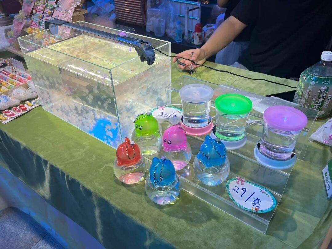 夜市水母创业该如何做？