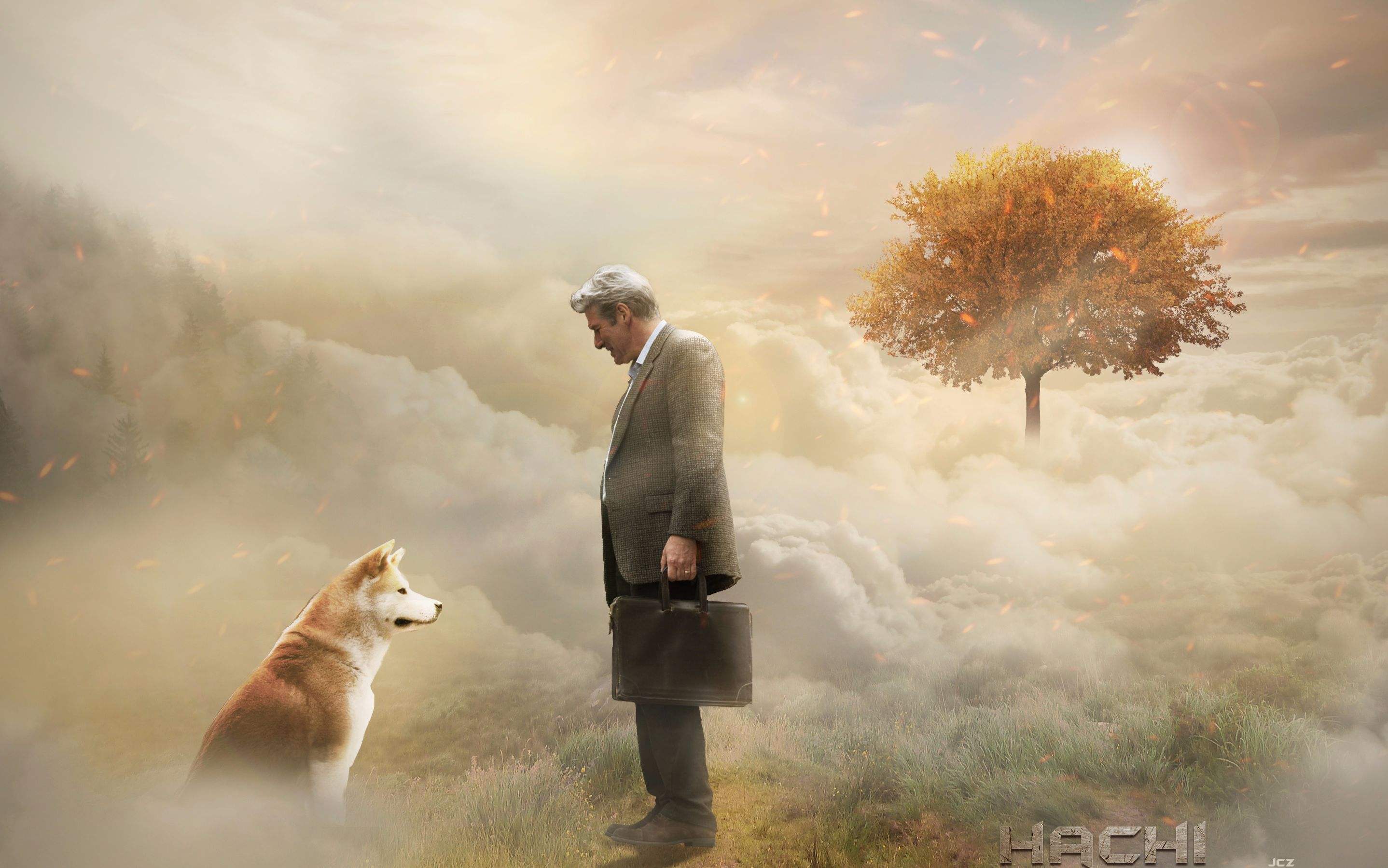 柴犬大概多少钱一只 纯种售价在1.5到3万之间