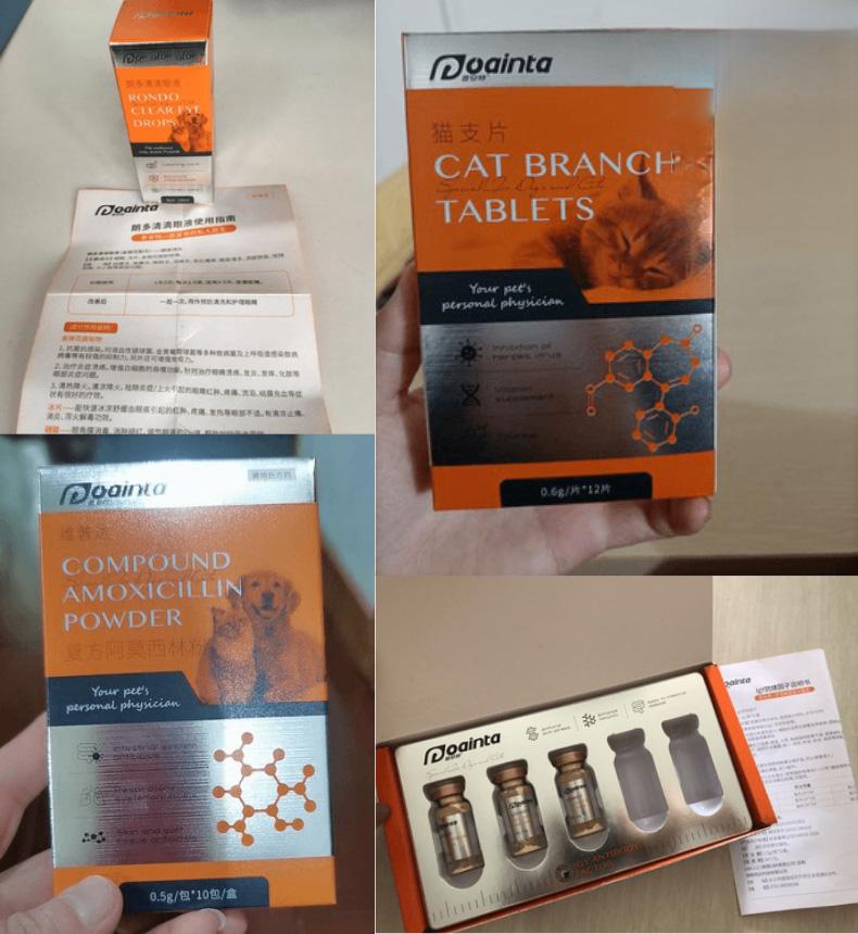 猫咪猫鼻支炎感染痊愈