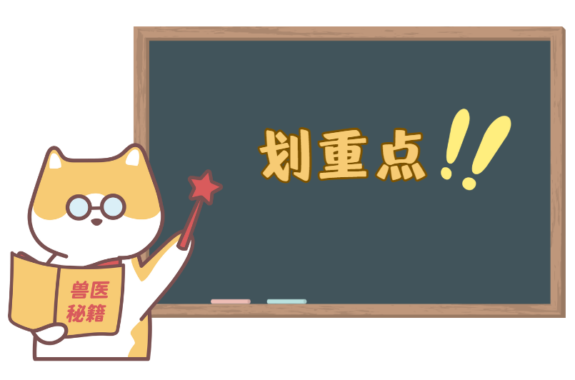 猫癣大作战：2月龄幼猫猫癣的精准治疗方法