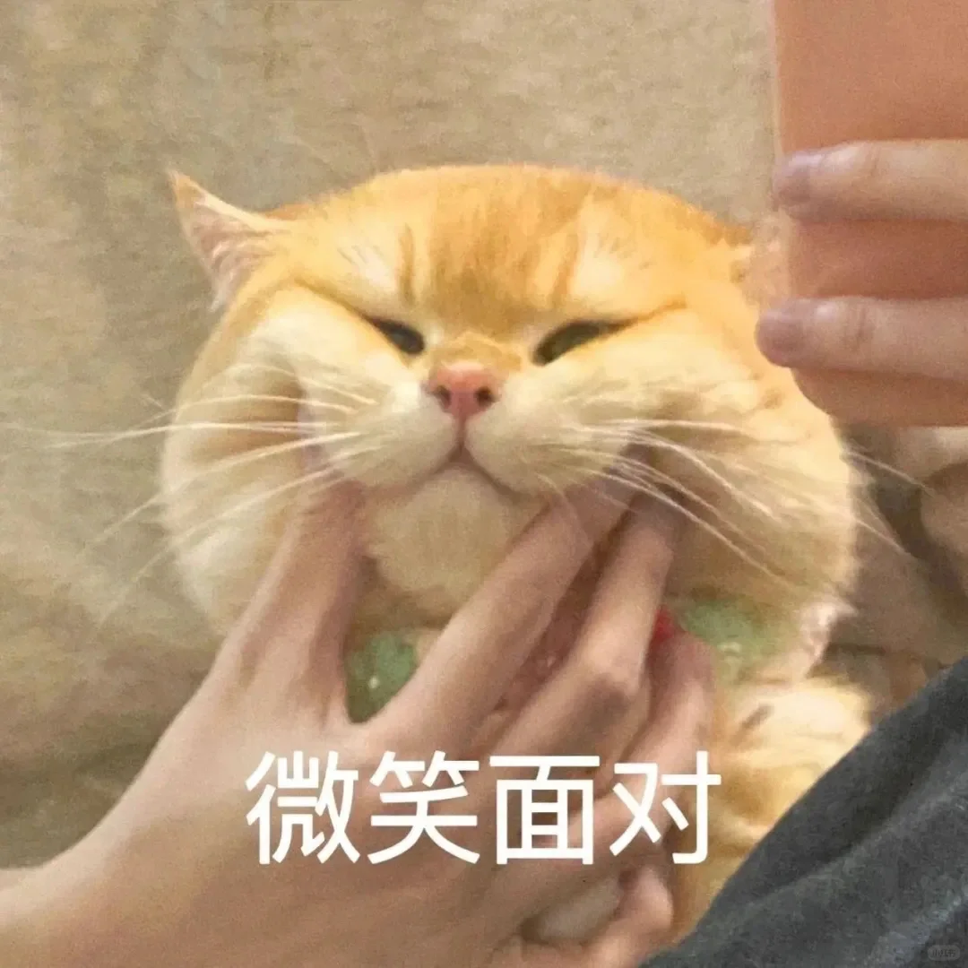 猫咪疯狂舔毛的背后真相：是皮肤病还是心理问题？