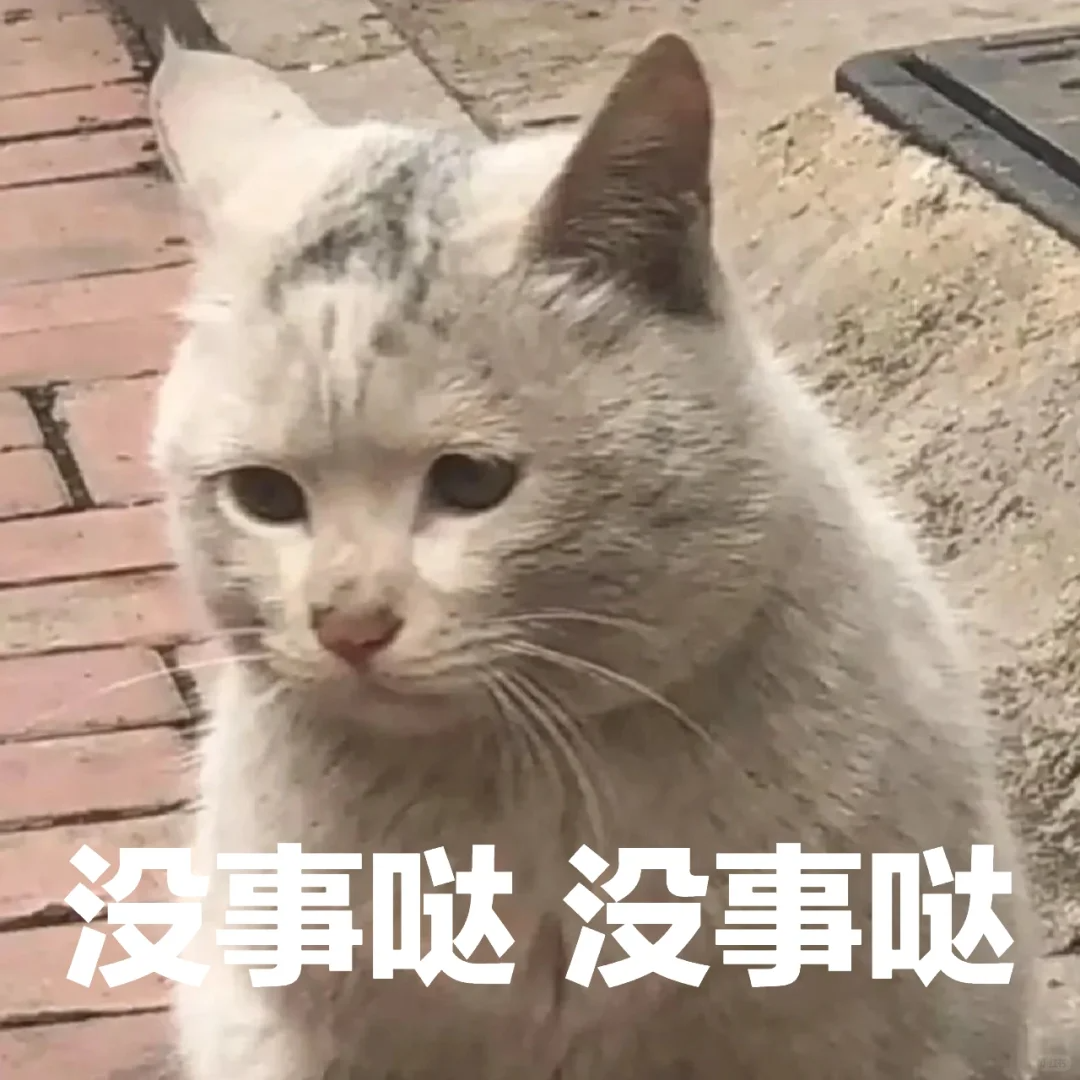 猫咪疯狂舔毛的背后真相：是皮肤病还是心理问题？