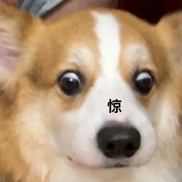 怀孕的狗狗长了狗癣怎么治？