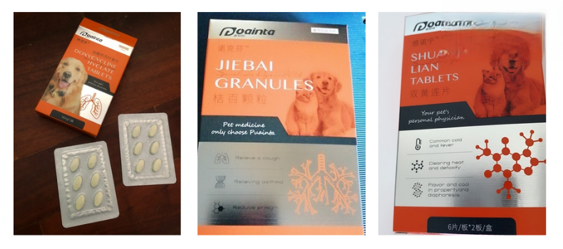 2个月大的金毛感冒已痊愈