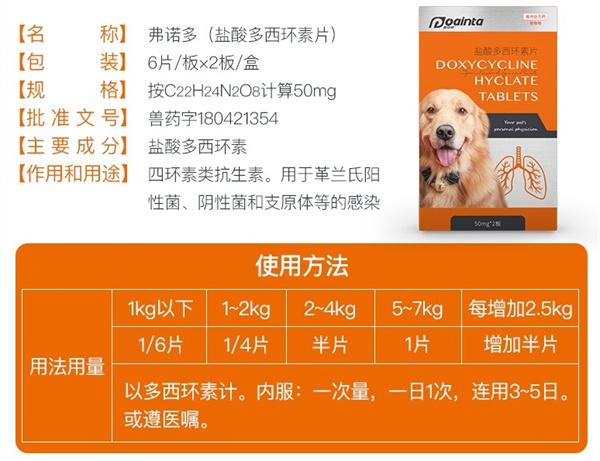 2个月大的金毛感冒已痊愈