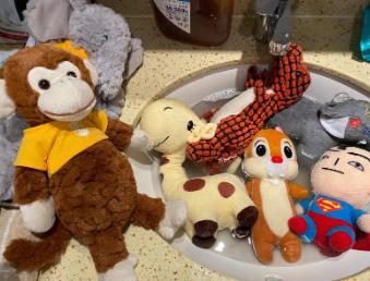 如何有效治疗与预防狗狗球菌感染皮肤病？