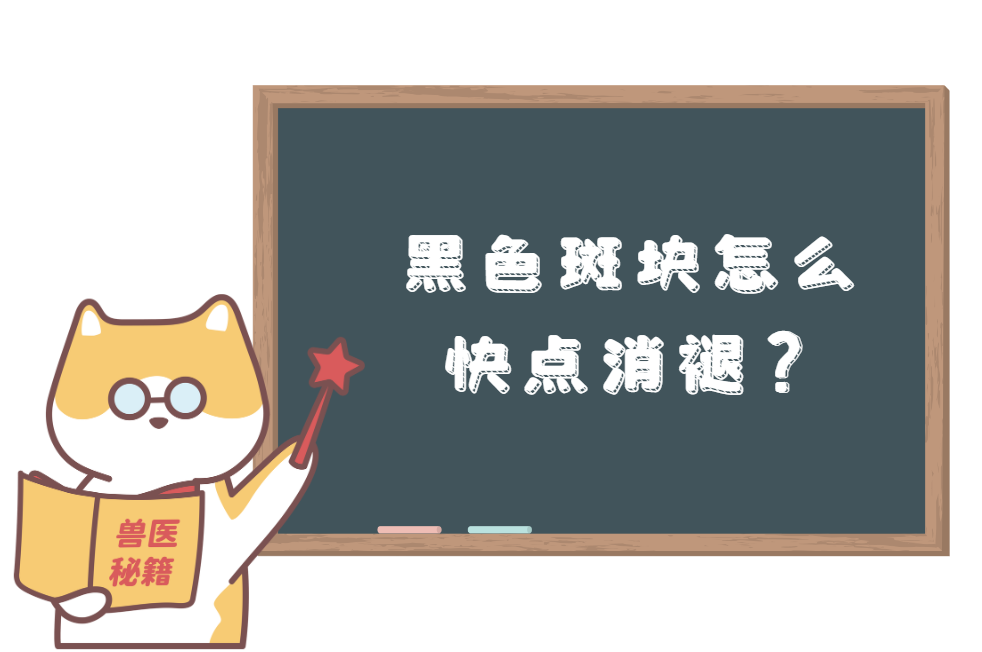 猫咪皮肤病快好了，但留下很多黑色斑块怎么办？