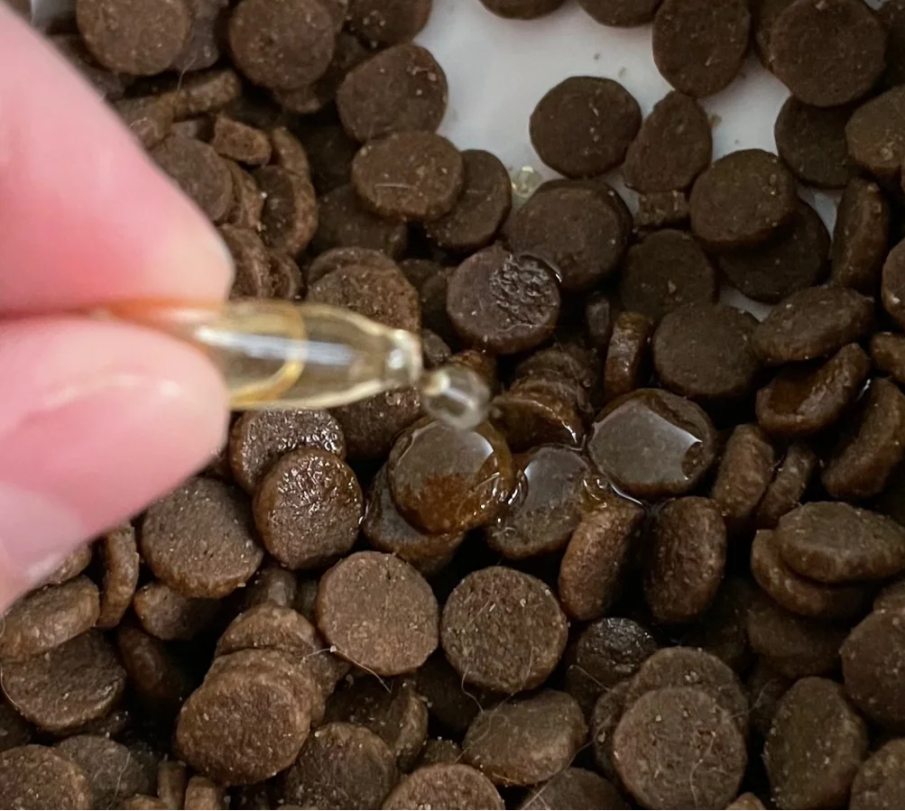 3种食物+4步护理，让你告别猫咪掉毛烦恼！