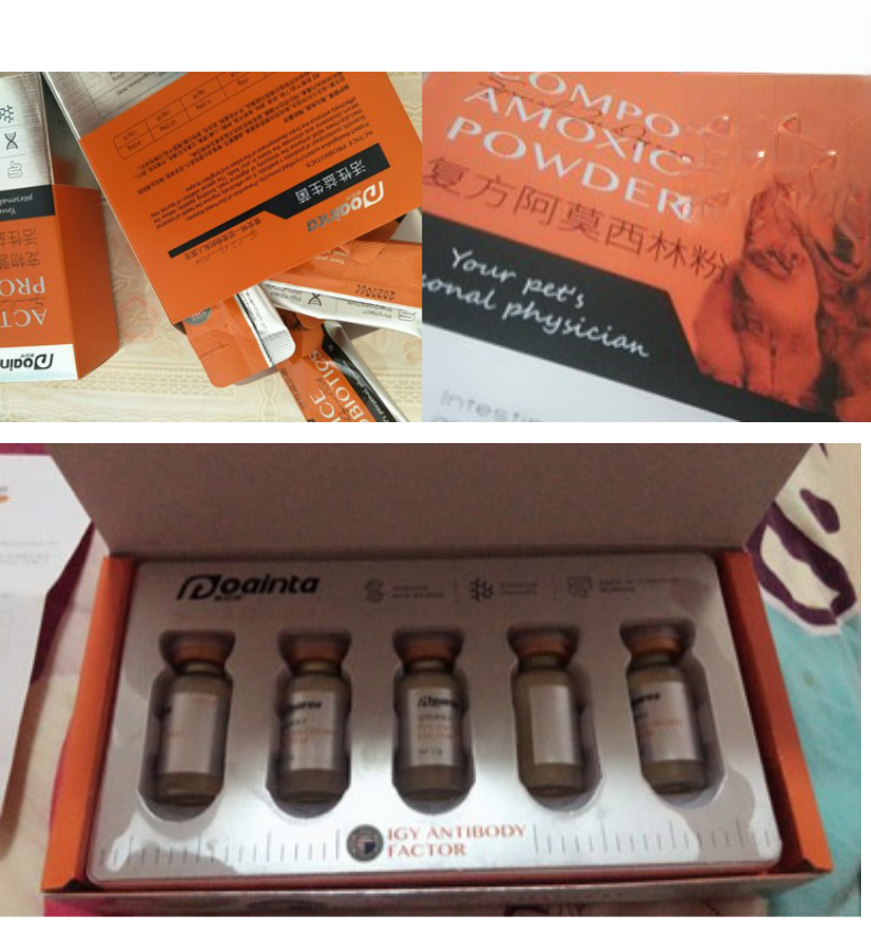 3月大的小奶猫感染猫瘟已恢复