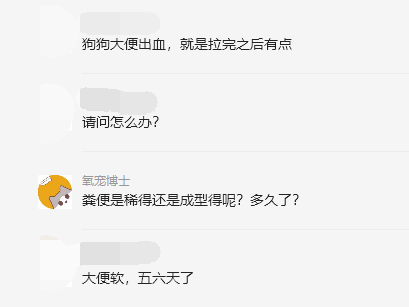 5岁狗狗肠胃炎大便出血已治愈