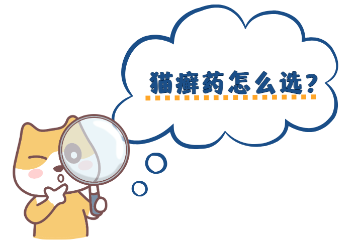 猫癣一般用什么治？介绍几种平价好用的药！