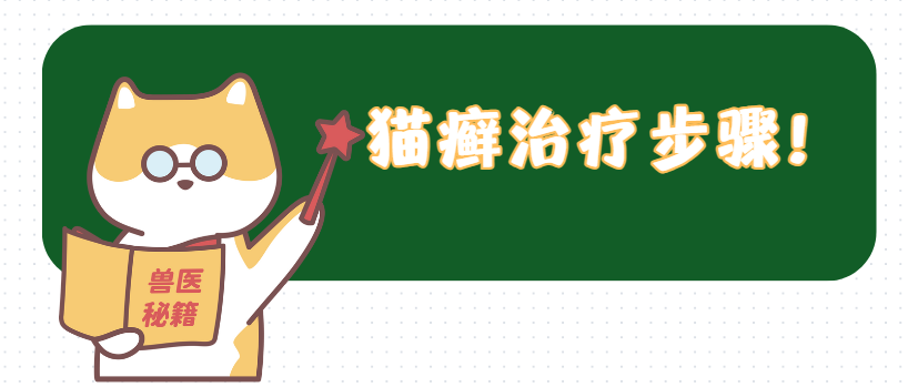 猫癣皮肤红肿怎么办？5个治疗步骤，一步都不能少！