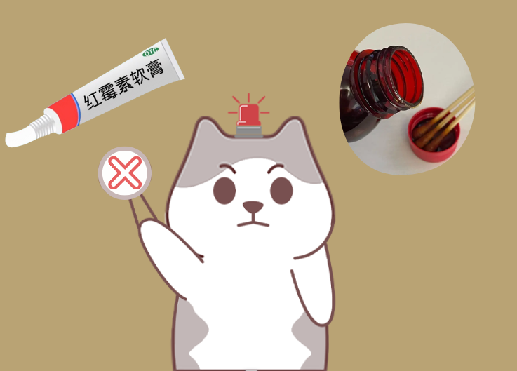 猫咪腿部真菌感染红肿不堪咋办？