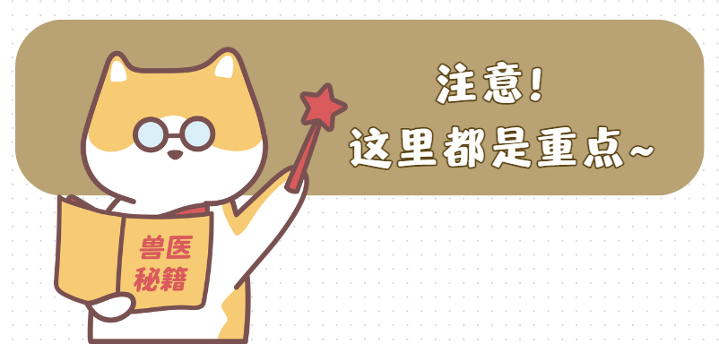 猫咪腿部真菌感染红肿不堪咋办？