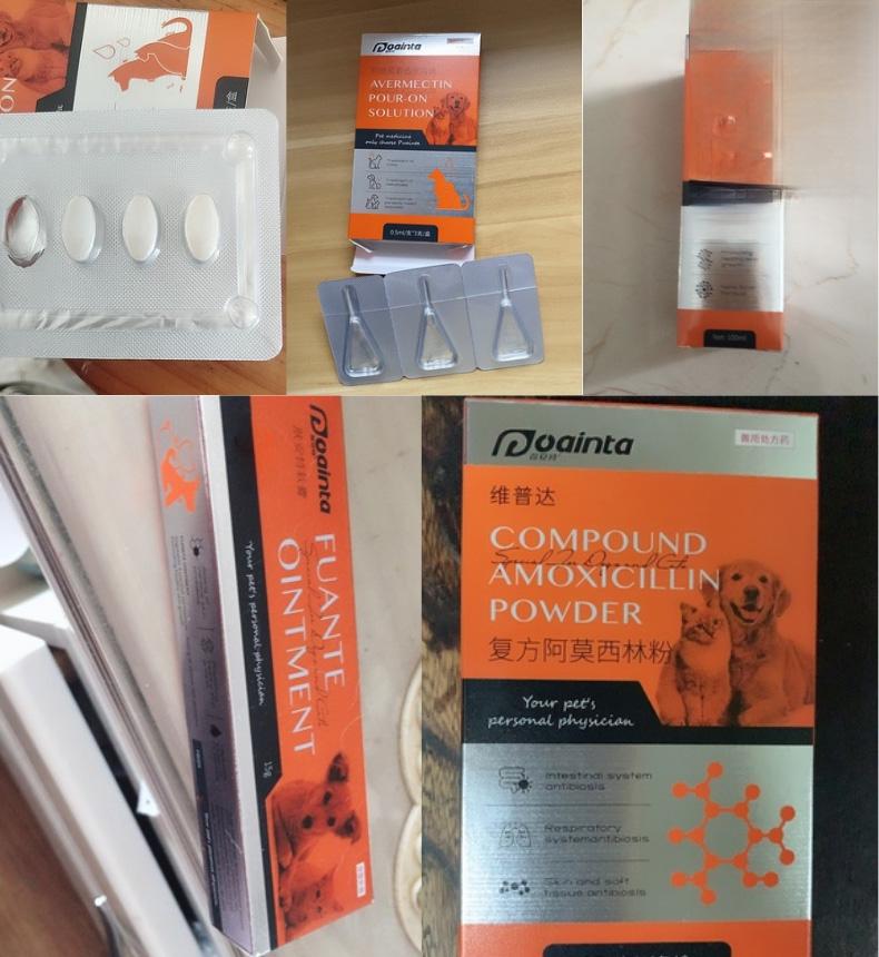 流浪狗狗感染皮肤病痊愈