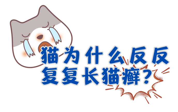 猫为什么反反复复长猫癣？原因竟然是&hellip;&hellip;