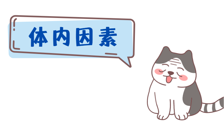 猫为什么反反复复长猫癣？原因竟然是&hellip;&hellip;