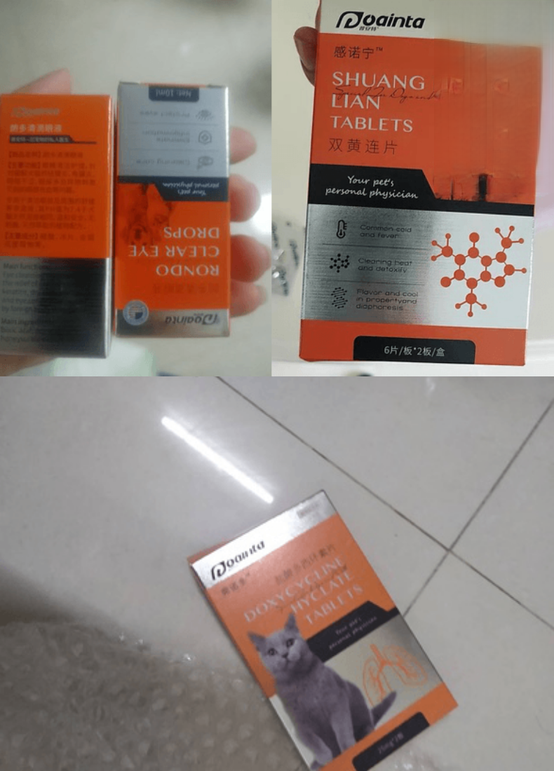 猫咪感冒眼睛流脓治愈病例