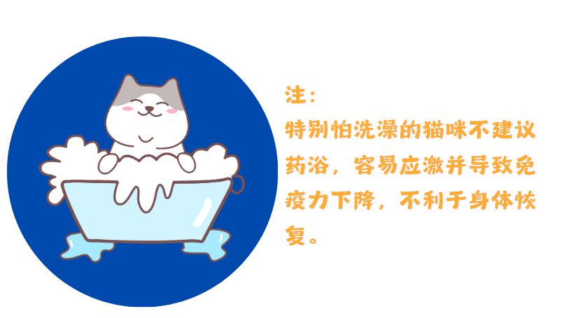 猫癣的治疗周期大概是多久？怎么样才能好得快一点？