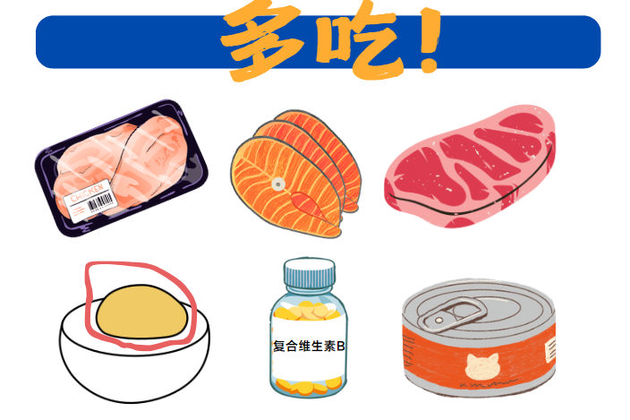 猫癣的治疗周期大概是多久？怎么样才能好得快一点？