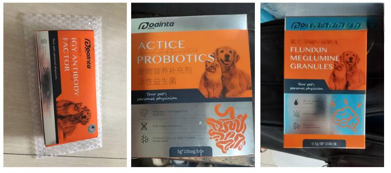 布偶猫感染了猫瘟已痊愈