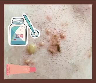 宠物脓包克星，温和药膏快速见效