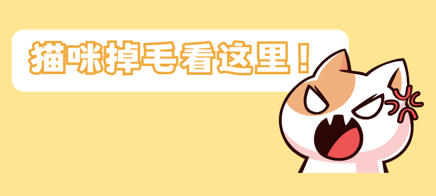 猫咪身上老是掉毛怎么办？认准这几招！