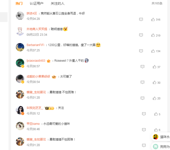走失猫咪独自跋涉1200多公里，厉害！