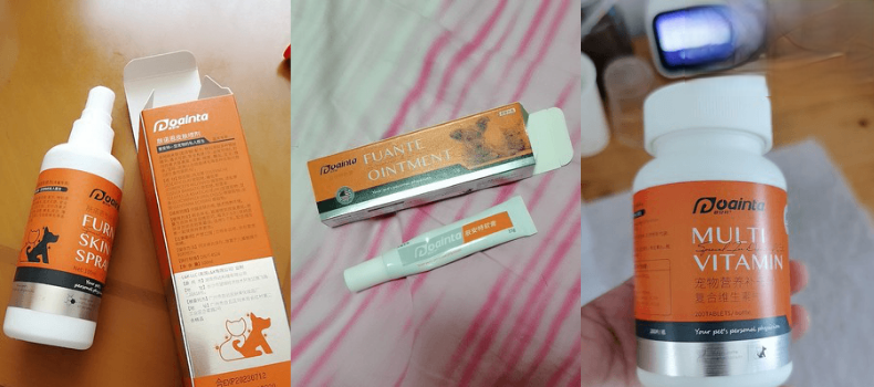 四个月大的泰迪细菌感染已痊愈