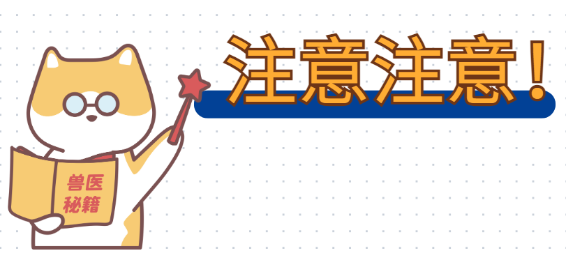 小猫腿上秃了一块红红的怎么办？