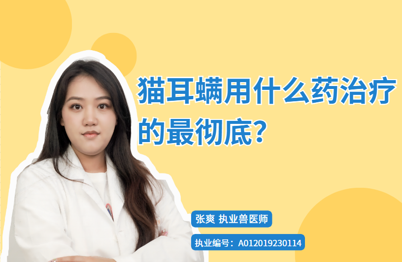 【宠医科普】猫耳螨用什么药治疗的最彻底？