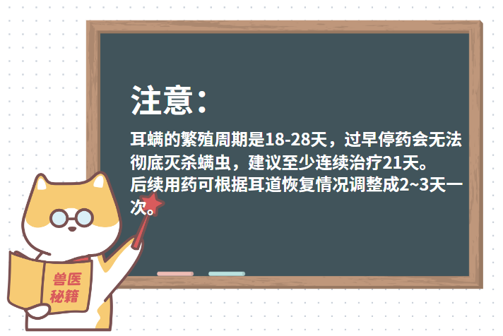 【宠医科普】猫耳螨用什么药治疗的最彻底？
