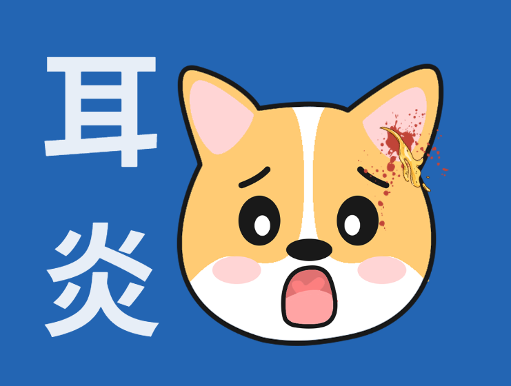 狗狗中耳炎找上门！用什么药效果好？