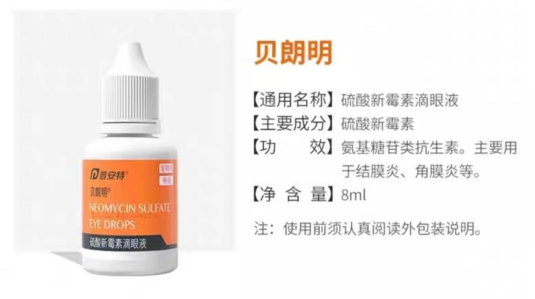 猫咪眼睛肿胀流眼泪已治愈