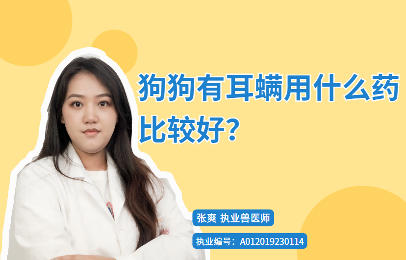 【宠医科普】狗狗有耳螨用什么药比较好？