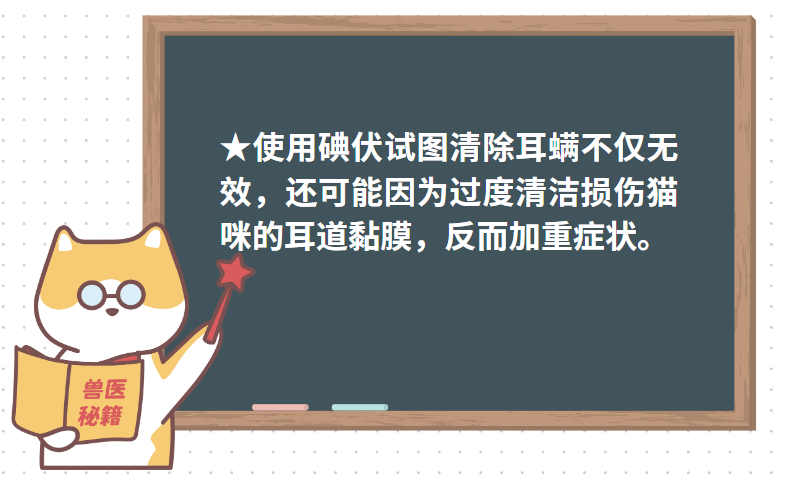 猫咪耳螨用碘伏很有效？假的~重点是驱虫！