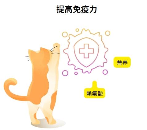 幼猫感染猫疱疹病毒怎么治？