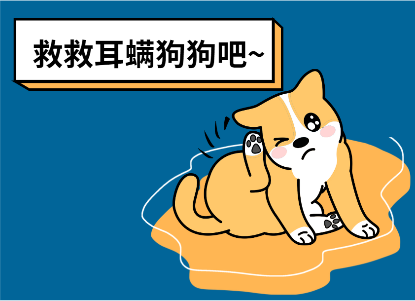 狗狗耳螨用什么药能最快解决？居家省钱版