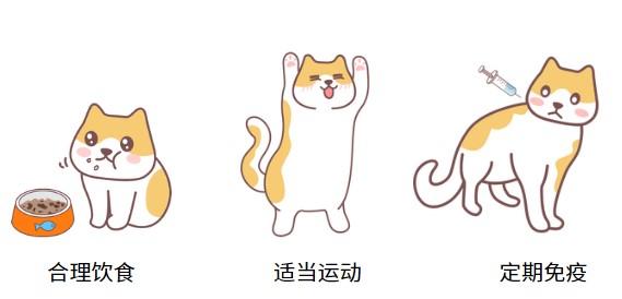 揭秘：猫鼻支影响下的猫咪寿命真相