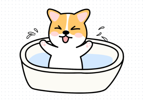 【居家版】狗狗耳朵流脓用什么药最好？