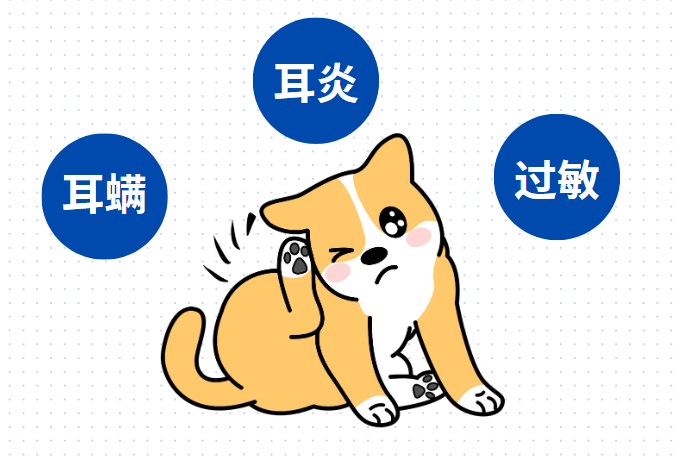 【氧宠科普】泰迪耳朵痒老是抓和摇头用什么药？